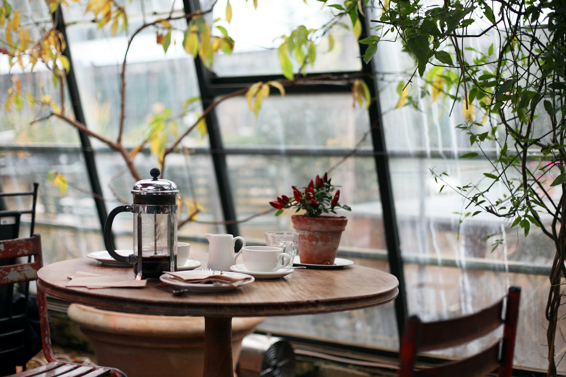 A warmly lit café counter with tables and greenery